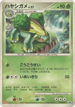 ハヤシガメ