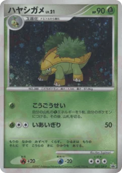 ハヤシガメ