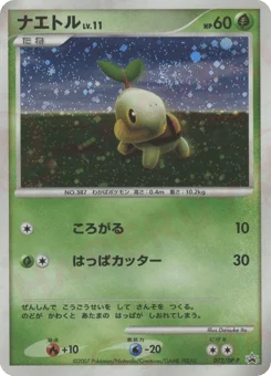 ナエトル