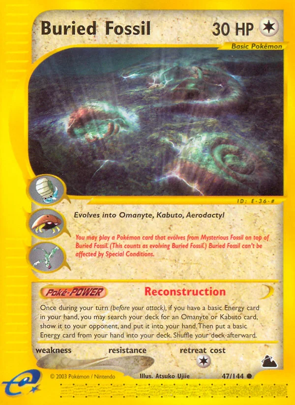 Buried Fossil · Skyridge