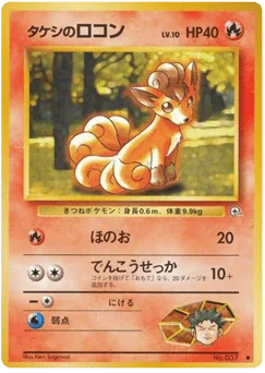 タケシのロコン
