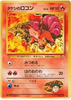 タケシのロコン