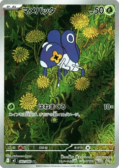 マメバッタ