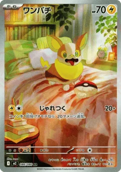 ワンパチ