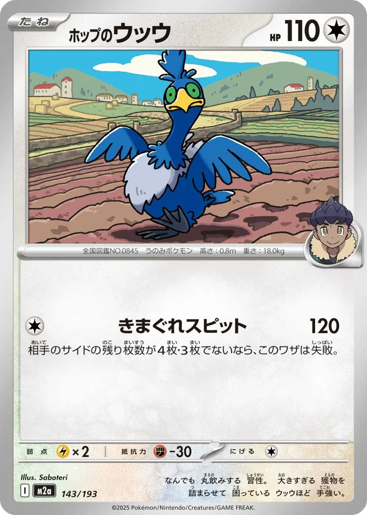 Hop's Cramorant · MEGA Dream ex