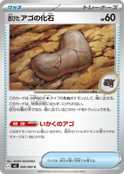 古びたアゴの化石
