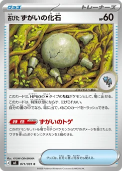 古びたずがいの化石
