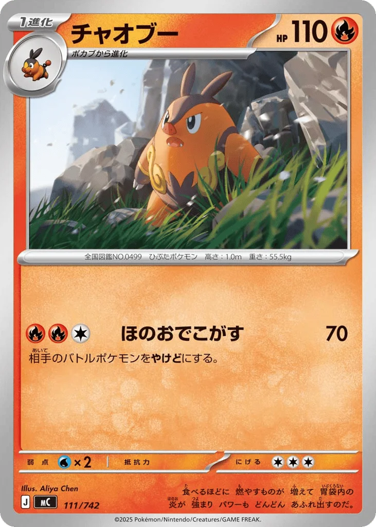 Pignite · Start Deck 100 Battle Collection