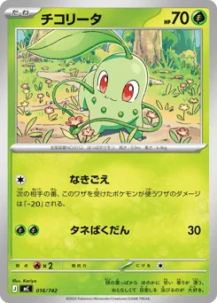 チコリータ