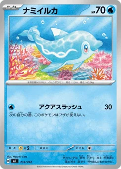 ナミイルカ