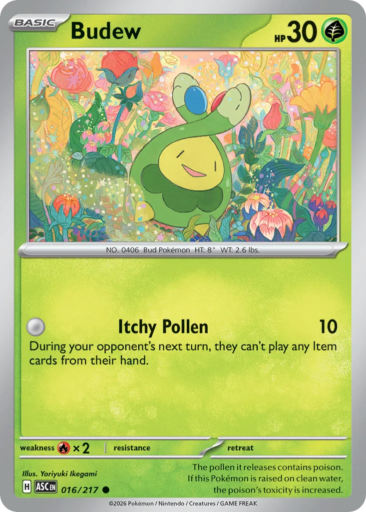 Budew · Ascended Heroes