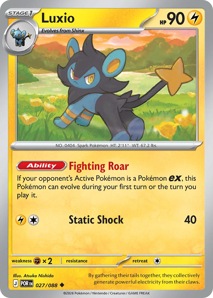 Luxio · Perfect Order