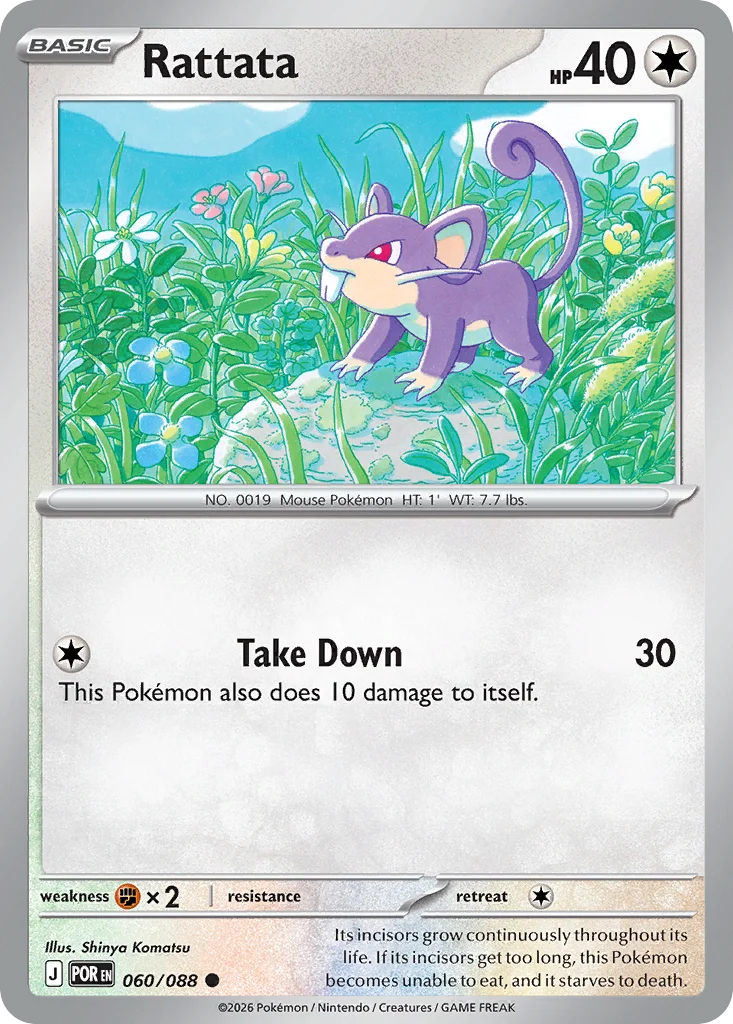 Rattata · Perfect Order