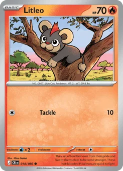 Litleo