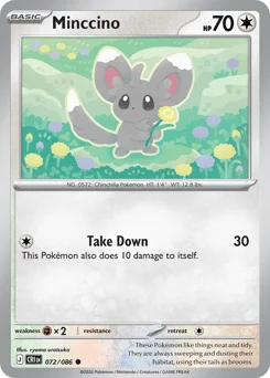 Minccino