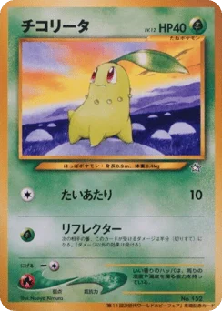 チコリータ