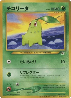 チコリータ