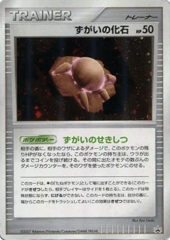 ずがいの化石
