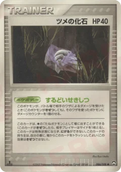 ツメの化石