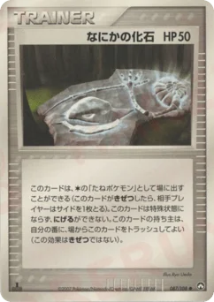 なにかの化石