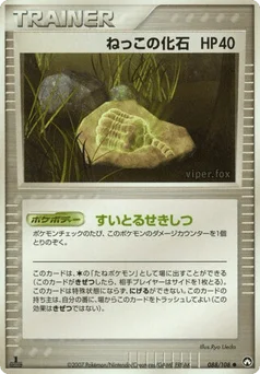 ねっこの化石