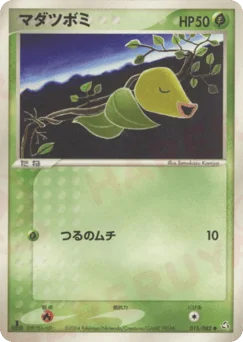 マダツボミ