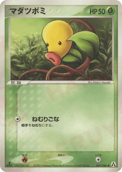 マダツボミ
