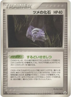 ツメの化石