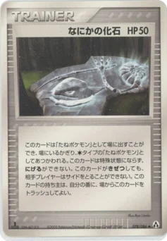 なにかの化石