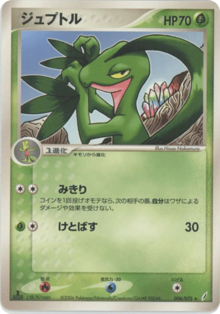 Grovyle · Miracle Crystal