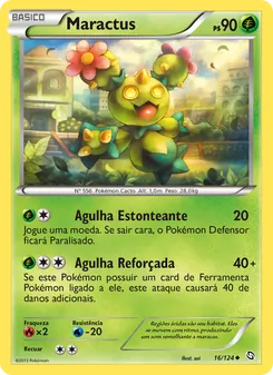 Maractus