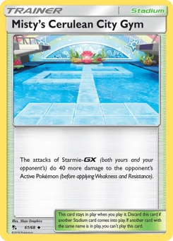 Misty's Cerulean City Gym