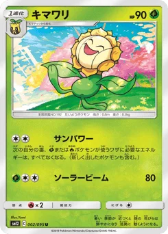 キマワリ