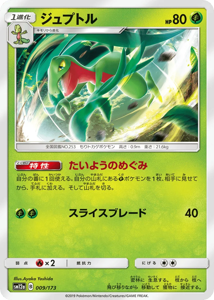 Grovyle · TAG TEAM GX: Tag All Stars