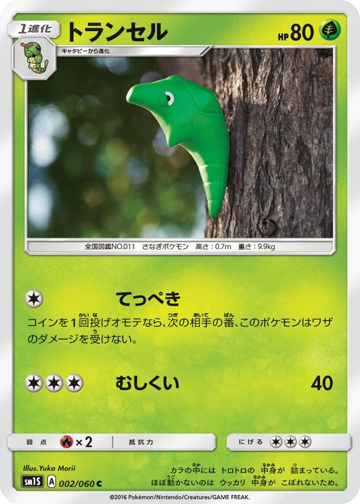 Metapod · Collection Sun