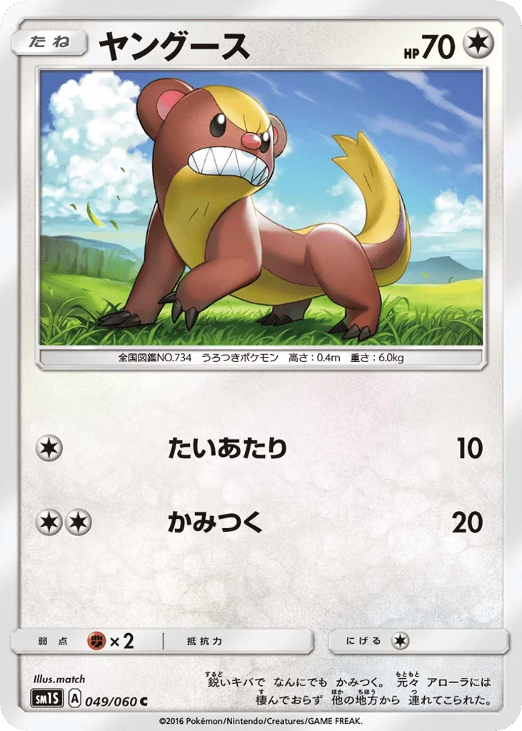 Yungoos · Collection Sun