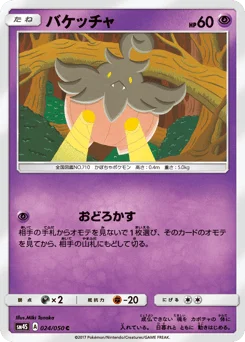 バケッチャ