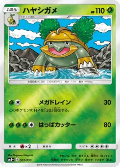 ハヤシガメ
