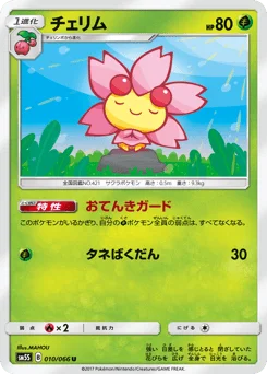 チェリム