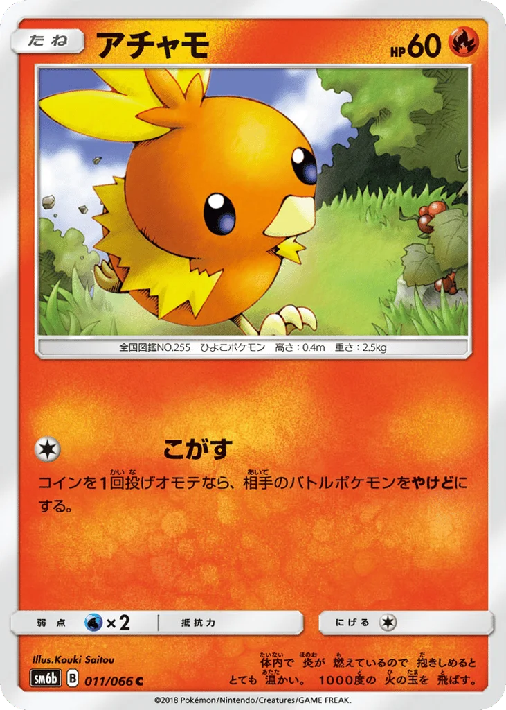 Torchic · Champion Road