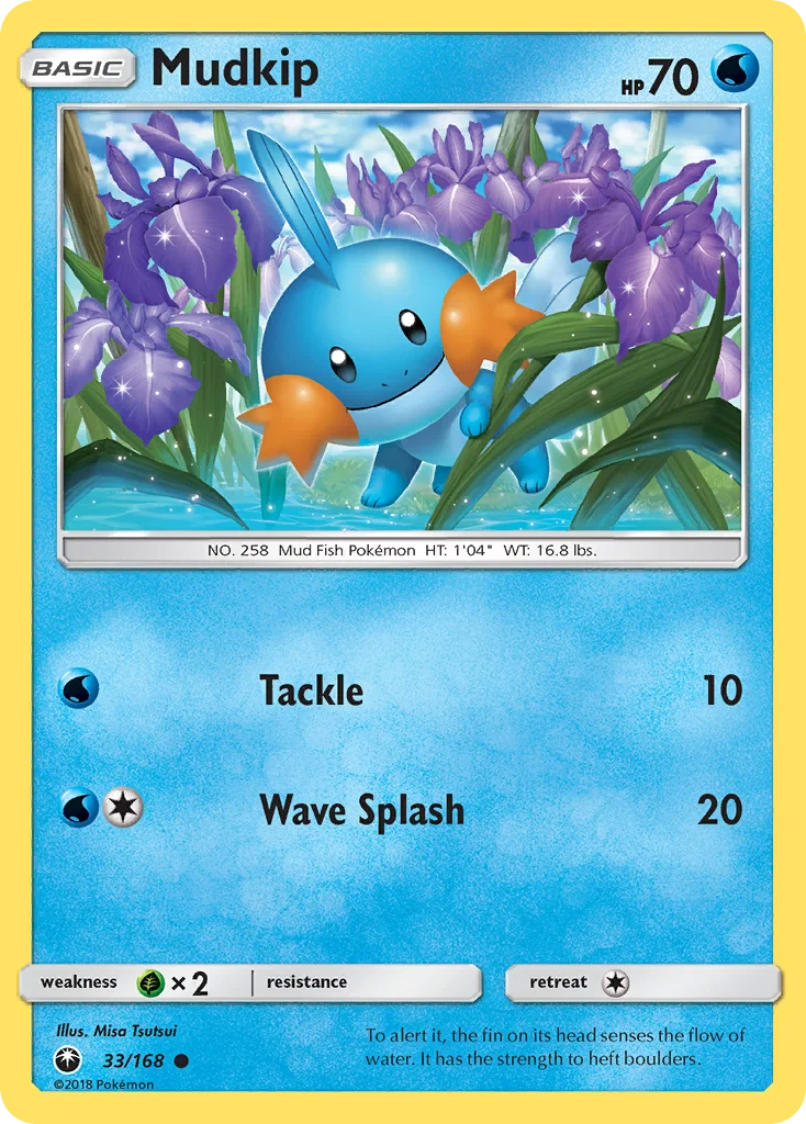 Mudkip · Celestial Storm