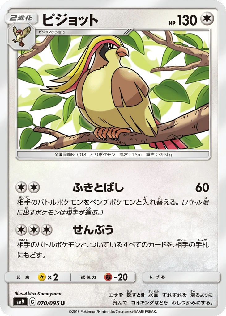 Pidgeot · Tag Bolt