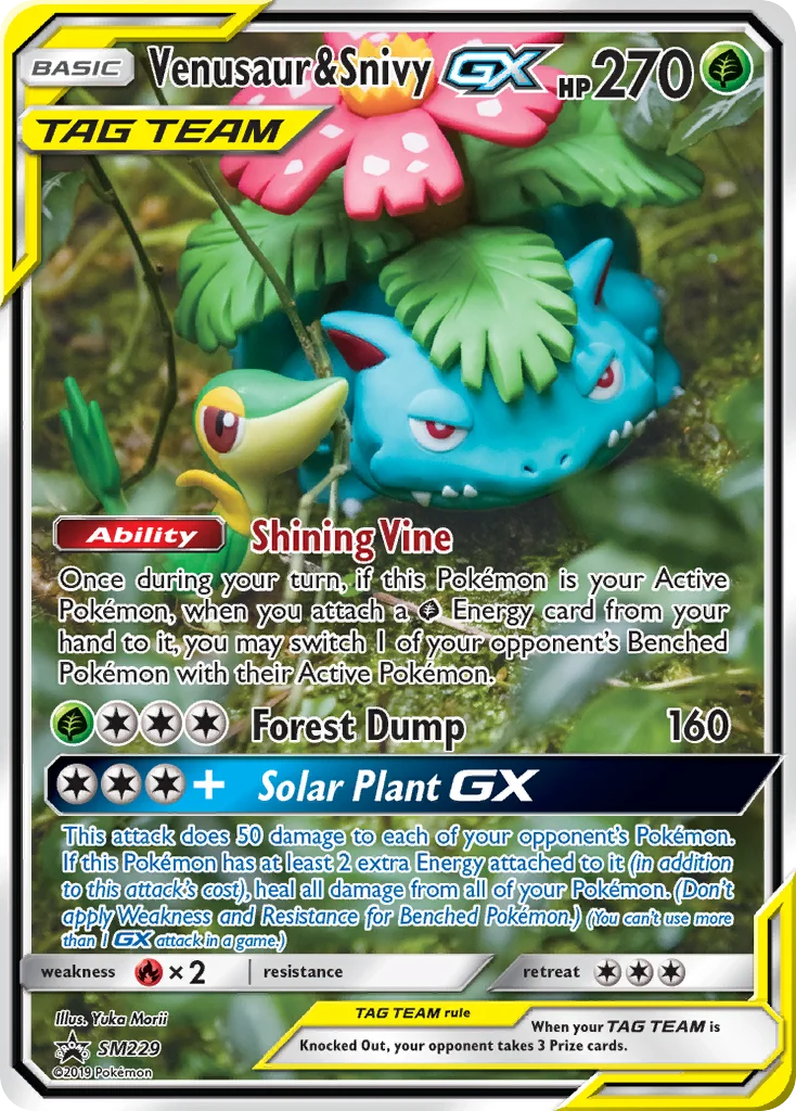 Venusaur & Snivy-GX · SM Black Star Promos