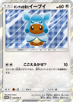 ポンチョを着たイーブイ