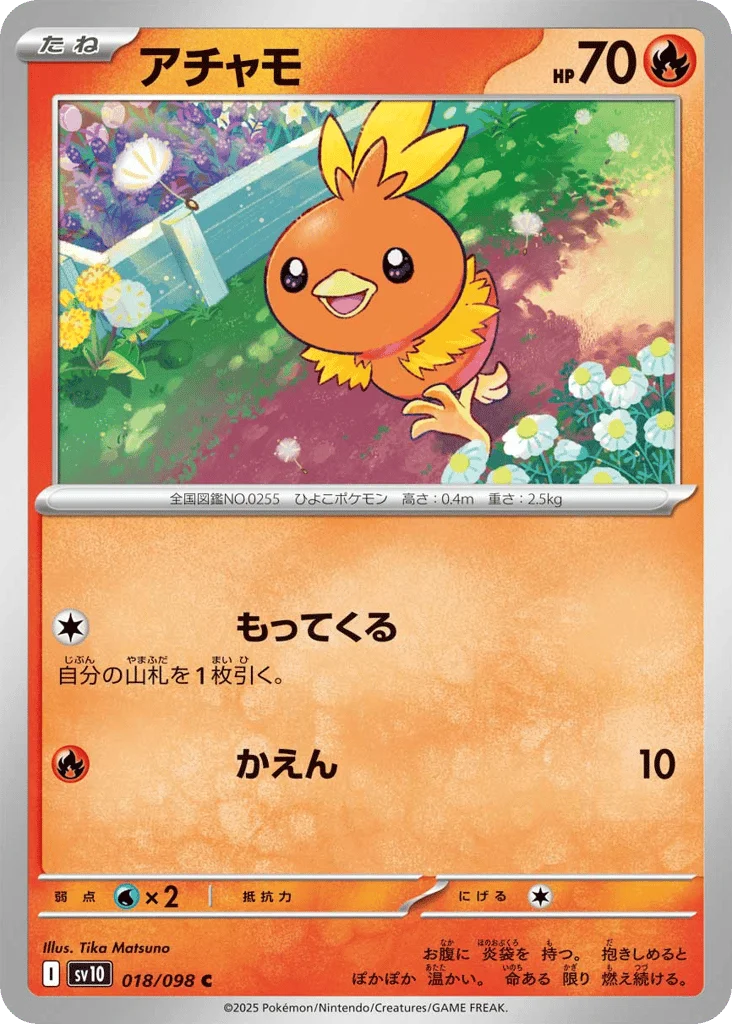 Torchic · Glory of Team Rocket