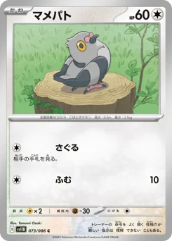 マメパト