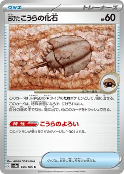 古びたこうらの化石
