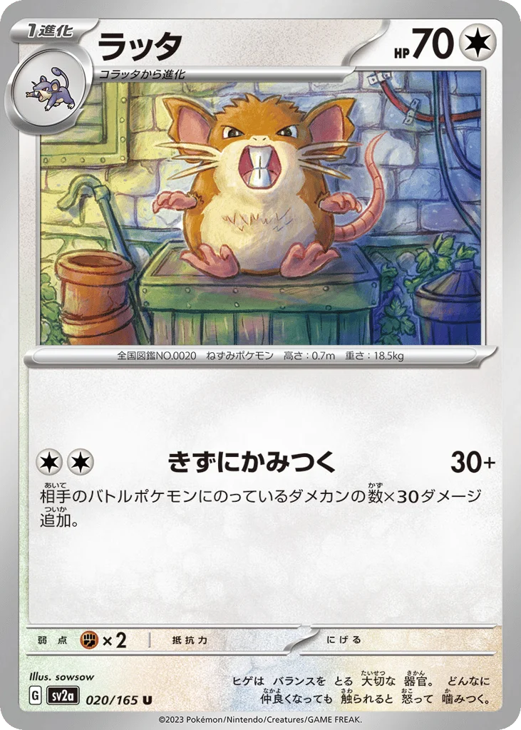 Raticate · Pokémon Card 151