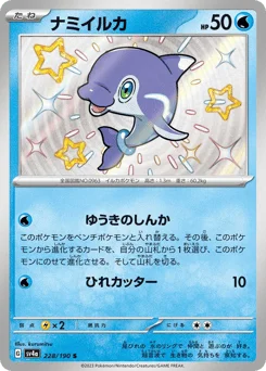 ナミイルカ