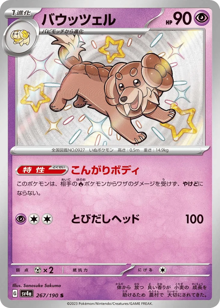 Dachsbun · Shiny Treasure ex